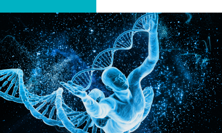 Reacción en cadena de la polimerasa (pcr): técnicas convencionales y cuantitativas